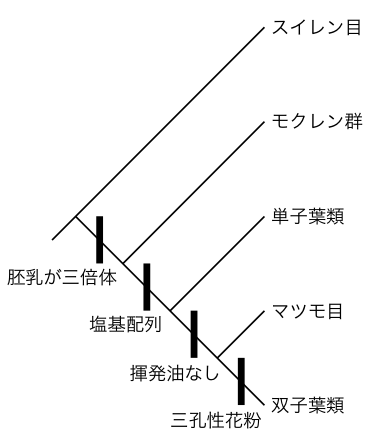 説明用の簡単な系統樹