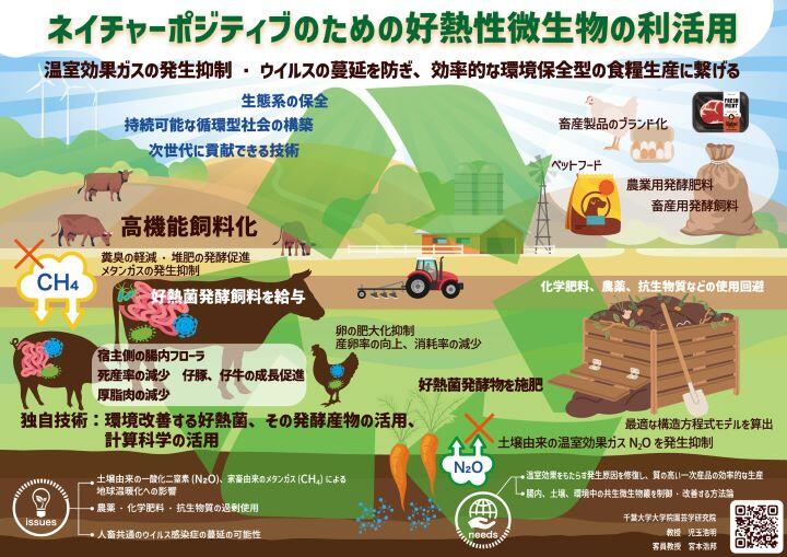 kodama_infog_32.jpg