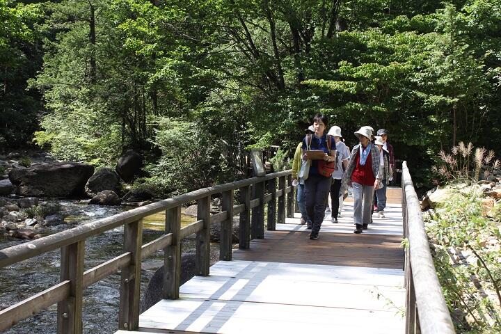 shinrinsansaku.JPG