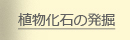 A΂̔@