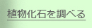 A΂𒲂ׂ