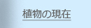 Ǎ