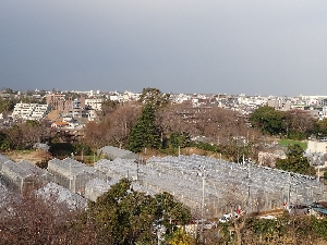DSC00008.JPG