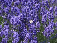 DSC05022.JPG