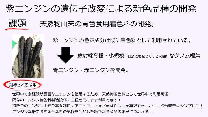 miyahara frontier.jpg