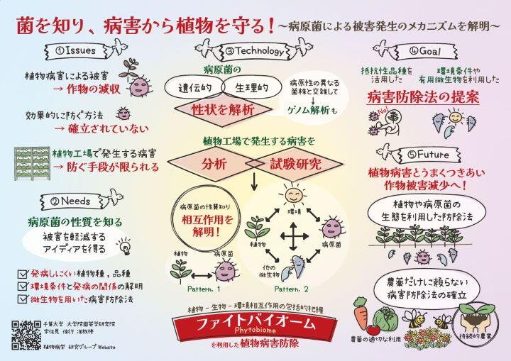 infog_43.jpg