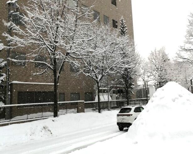 雪景色.jpg