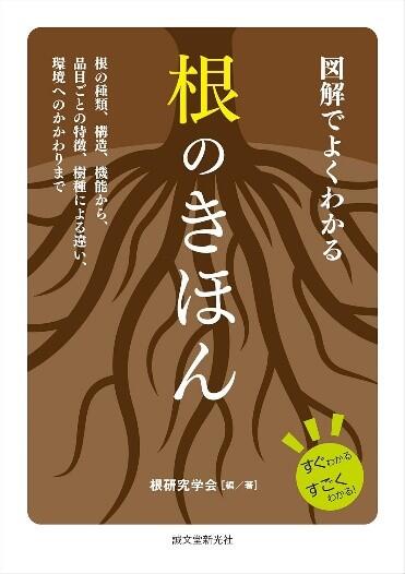 根のきほん.jpg
