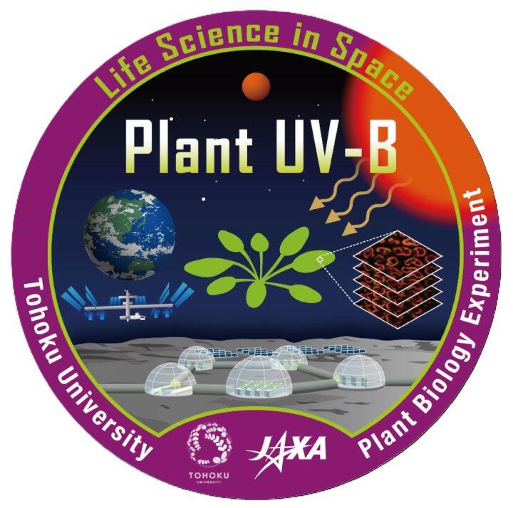 Plant-UVB_アートボード 1.jpg