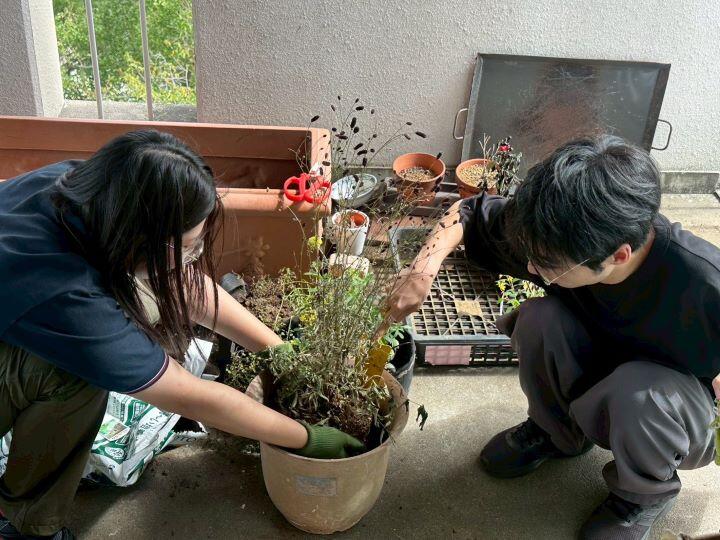 LINE_ALBUM_HP用写真_251017_3.jpg