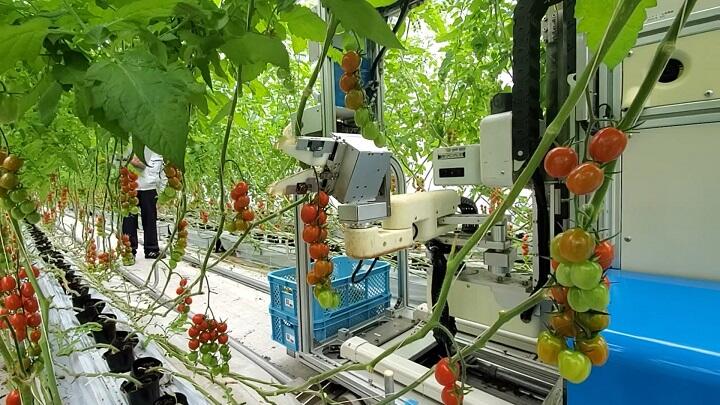 トマト収穫ロボット５.jpg