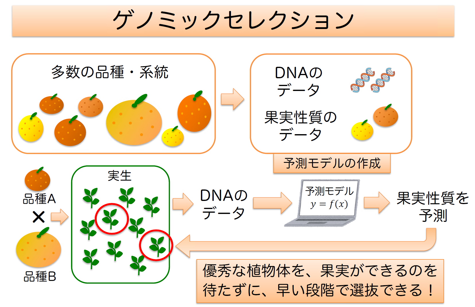 Genomic Selection.png