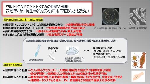 画像1.jpg