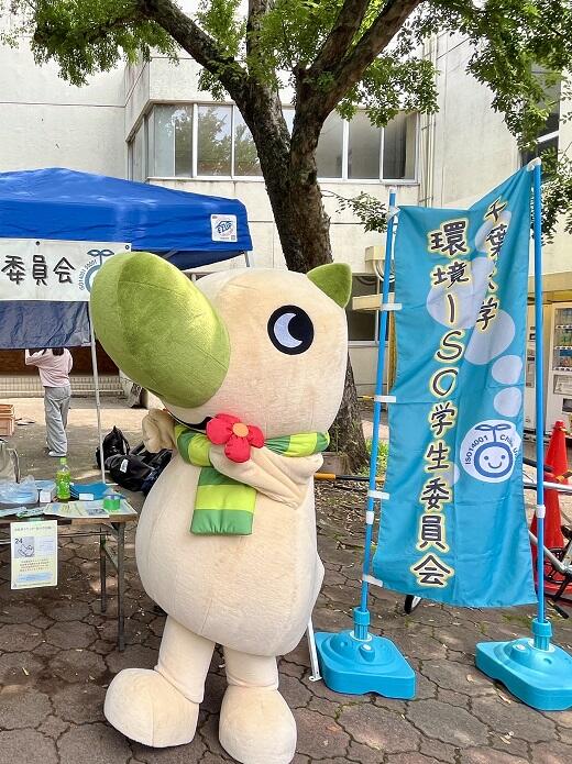 マツ.jpeg