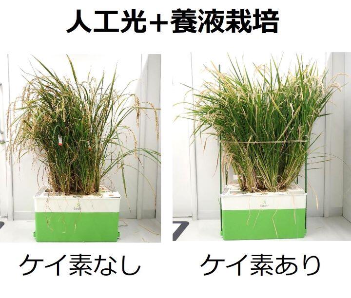 画像2.jpg