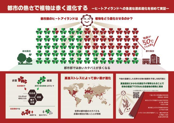 infog_08.jpg